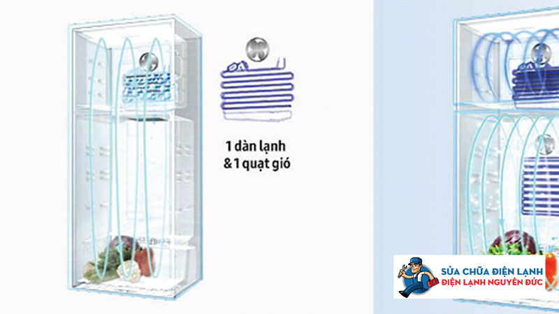 do-cau-tao-tu-lanh-dienlanhnguyenduc
